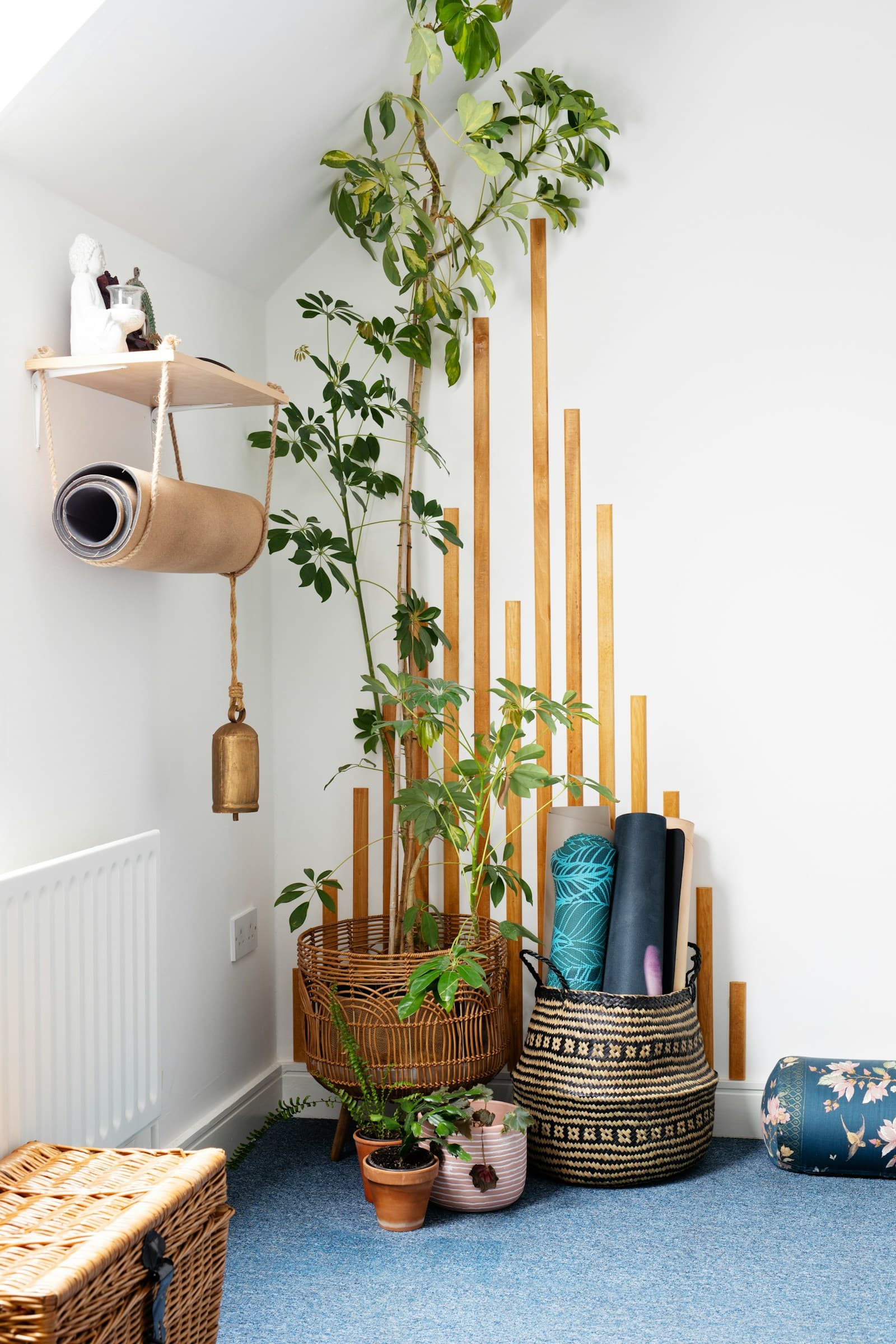 Bright recovery studio with mats and plants
